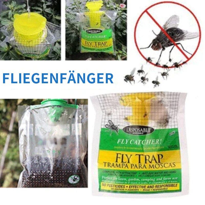 Ungiftiger Fliegenfänger